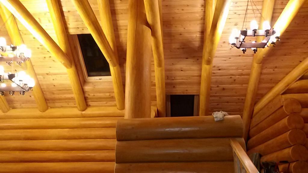 Pensiunea Izbucul Tauz Ghetari Екстериор снимка